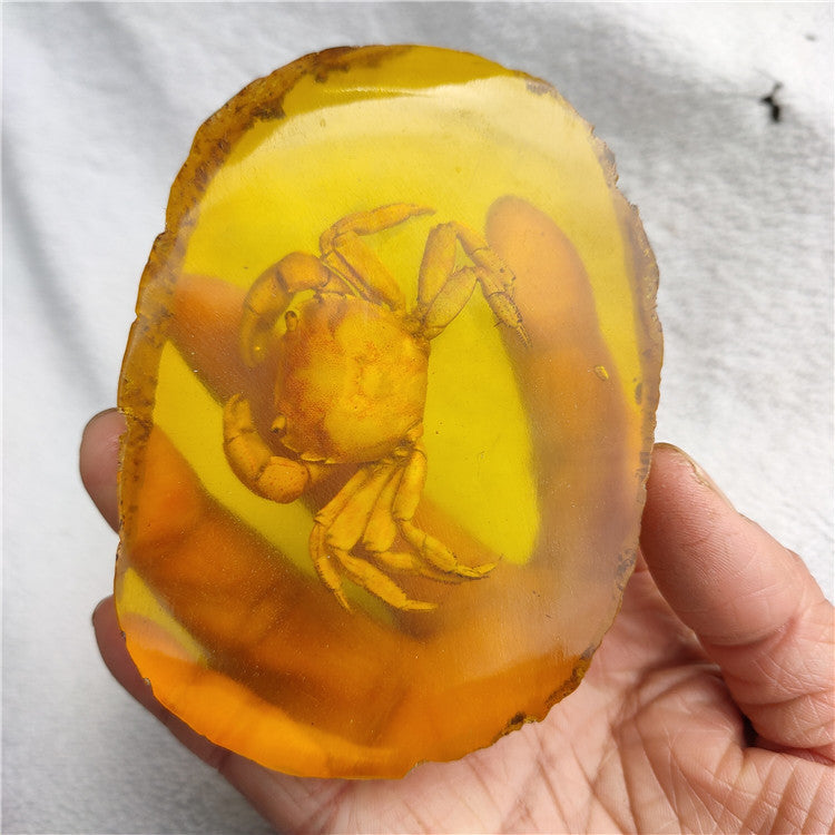 Antique Crafts Resin Amber Insect Specimen Decoration